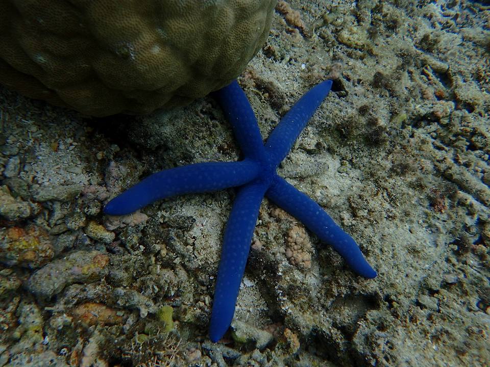 13254085_10103782413325319_8387559449370316765_n