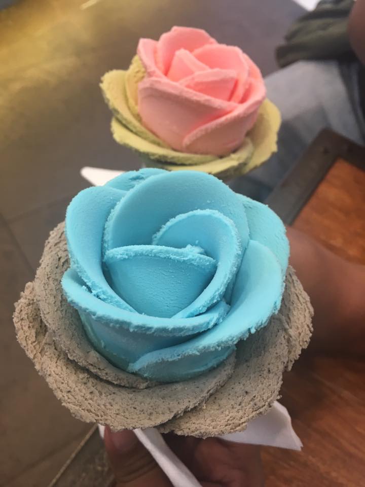 15977815_10211463302798855_9013289264808014503_n